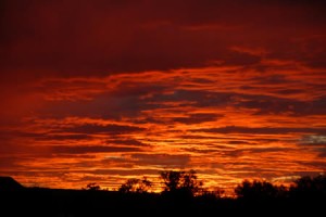 sunset1 sunset1